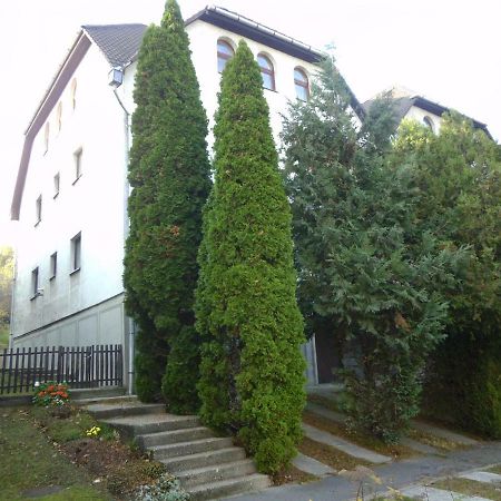 Aulich Apartman 米什科尔茨 外观 照片