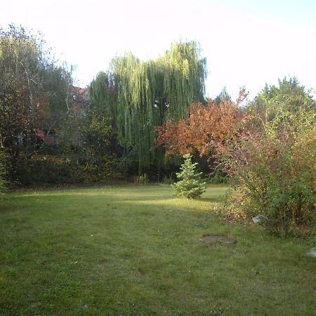 Aulich Apartman 米什科尔茨 外观 照片