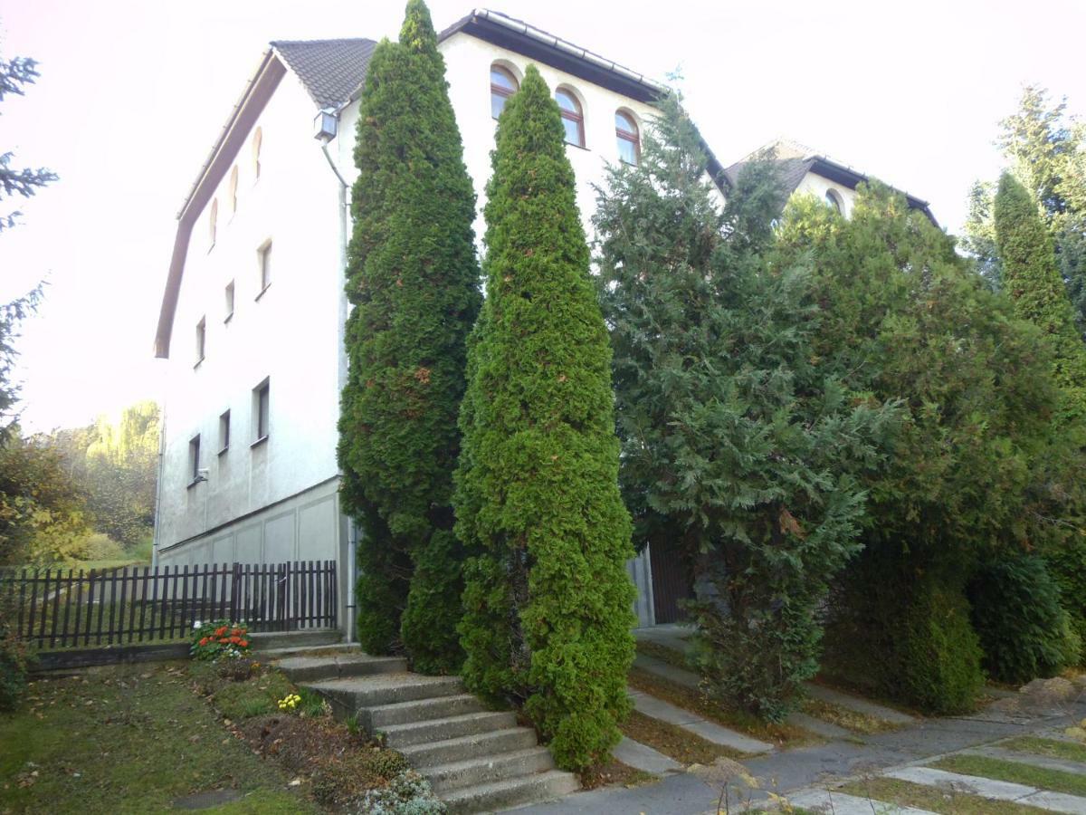 Aulich Apartman 米什科尔茨 外观 照片